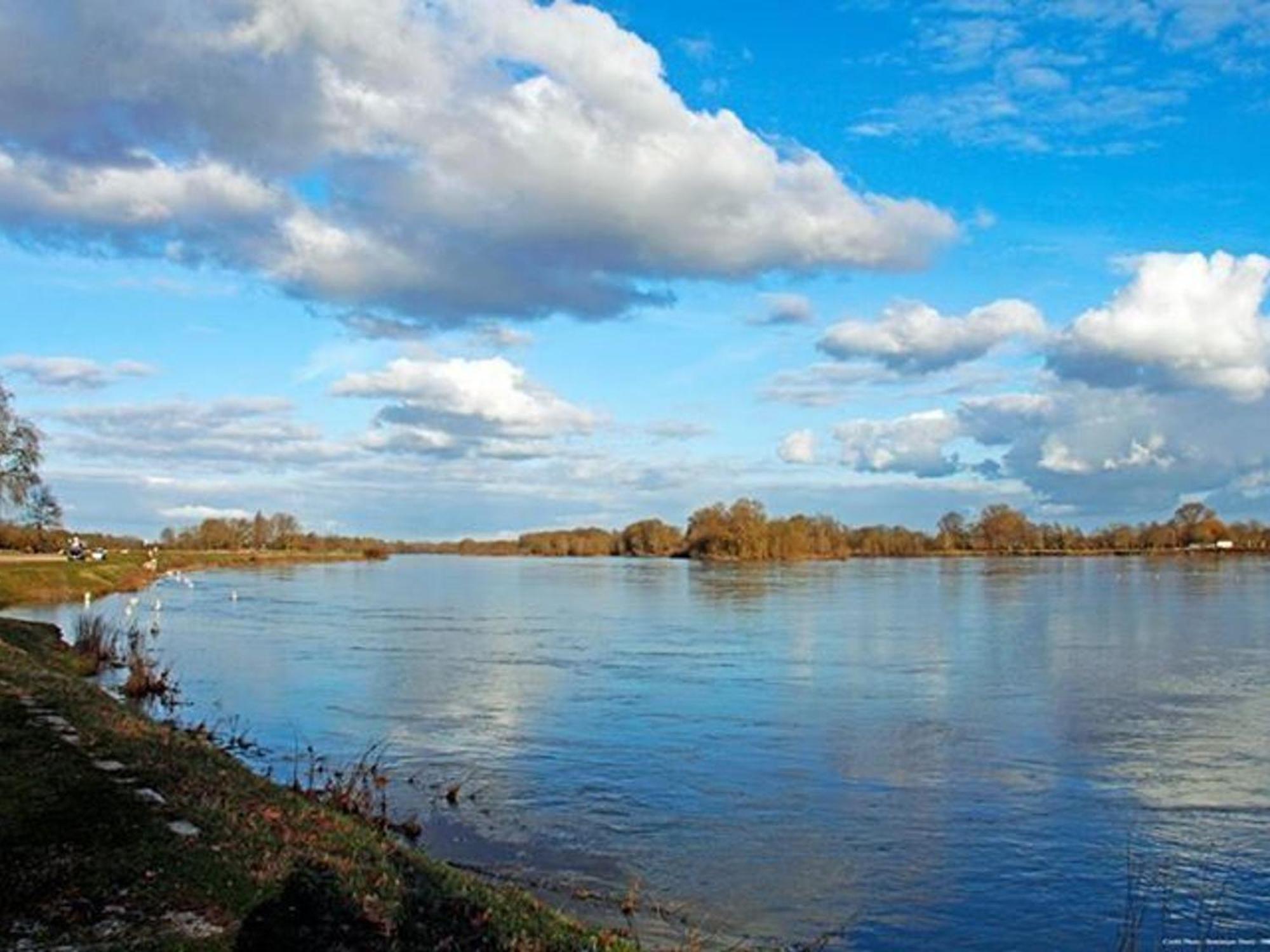 Charme Au Coeur Des Chateaux De La Loire Avec Wifi - Fr-1-590-305 Bed & Breakfast Tavers Eksteriør bilde