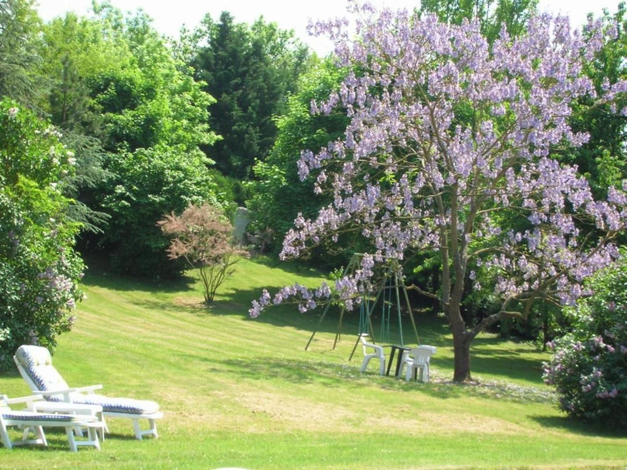 Charme Au Coeur Des Chateaux De La Loire Avec Wifi - Fr-1-590-305 Bed & Breakfast Tavers Eksteriør bilde